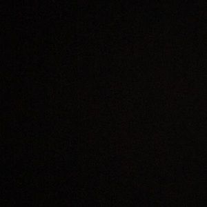 Meet your Posher, Carlly